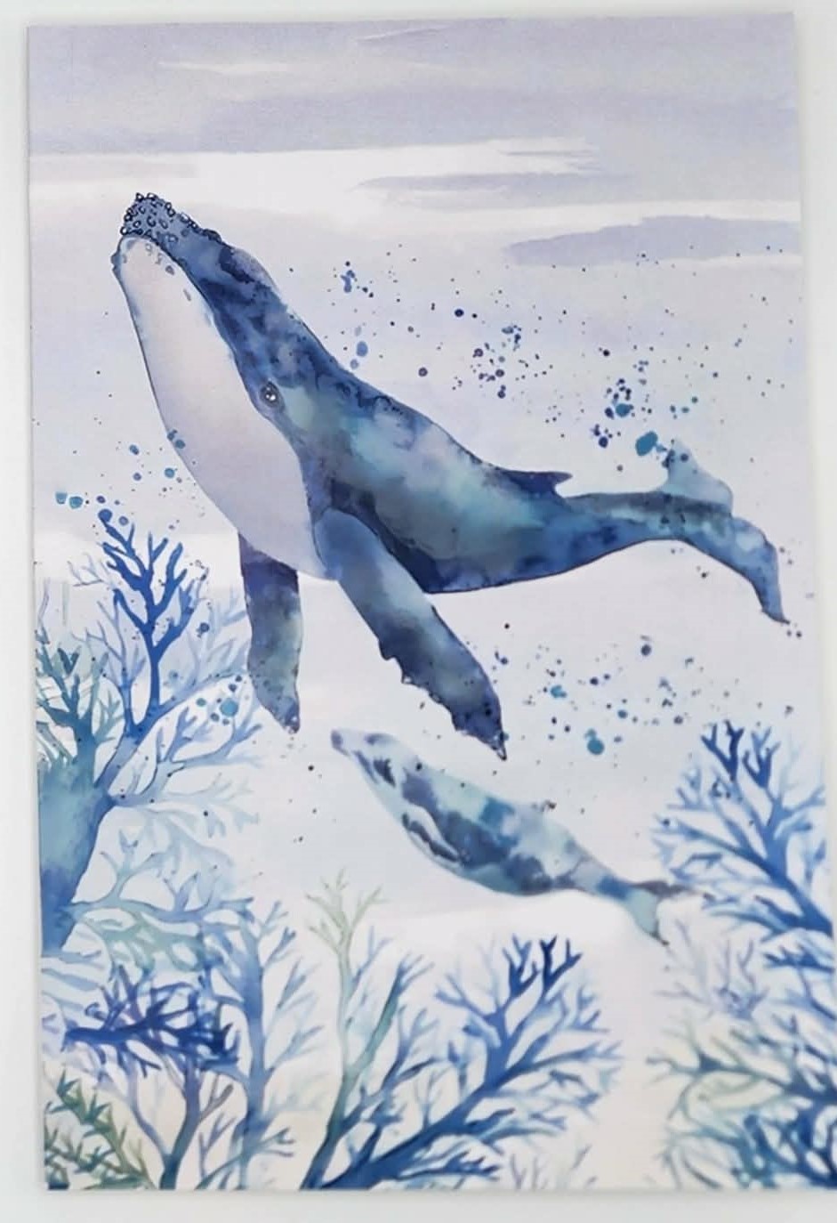 mini escape bundle mini escape bundle